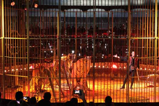 Le cirque Il Florilegio revient en Algérie pour briser la monotonie estivale