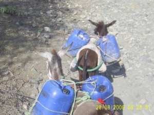 بلديةعين العطش (عين فراح)