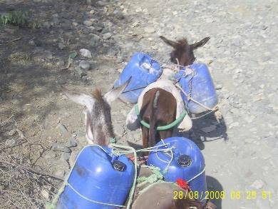 بلديةعين العطش (عين فراح)