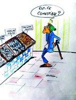 Ferme aquacole de la Marsa à Skikda :  De la crevette en  perspective sur les étals