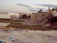 Alerte à la Leishmaniose à El Oued : Près de 2 400 cas signalés en 4 mois