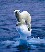 Conférence sur les changements climatiques : Une lutte commune pour sauver le futur