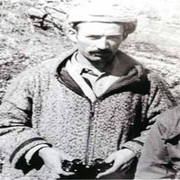 Manipulations, anathème, Parti pris sur la guerre de libération : Les mises en garde des historiens