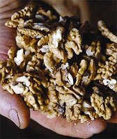 Pour obtenir une amélioration du cholesterol : Manger des amandes,  noix ou noisettes