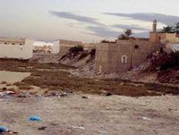 Alerte à la Leishmaniose à El Oued : Près de 2 400 cas signalés en 4 mois