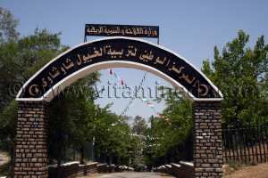 HISTORIQUE DE LA JUMENTERIE DE TIARET