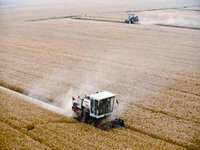 Aïn Temouchent : Les travailleurs de la CCLS en grève