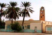 Phoeniciculture à Ourlal : Le problème du foncier  freine l'investissement