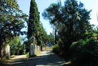 Patrimoine forestier à l'est d'Alger :   Des forêts réhabilitées mais abandonnées