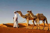 Tourisme mondiale :  La destination Algérie est prometteuse