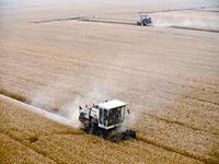 Aïn Temouchent : Les travailleurs de la CCLS en grève