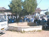 Ouled Farès (Chlef) :  Les citoyens  dénoncent l'attribution d'un espace vert