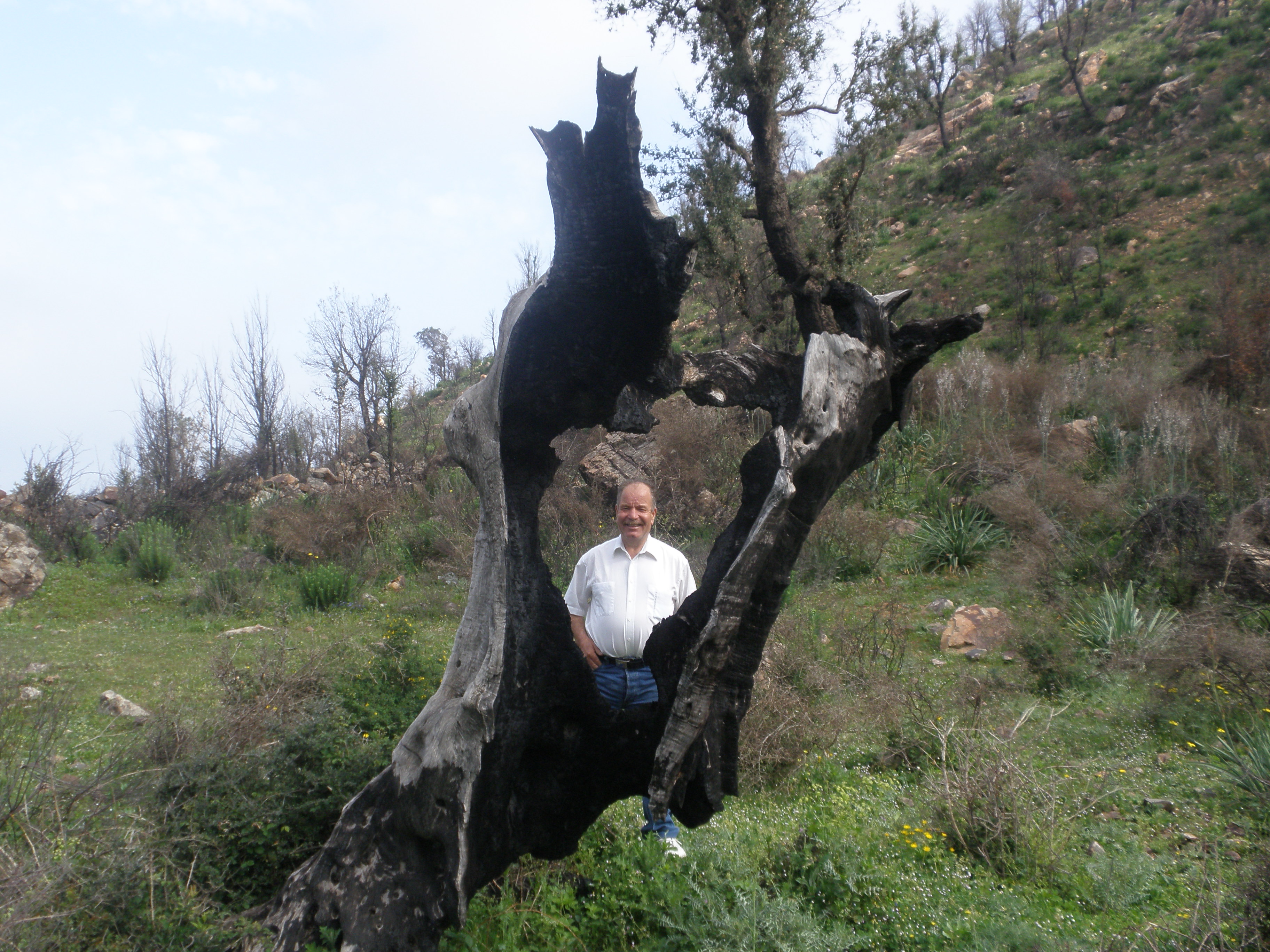 Le  crie d’une plume