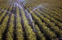 Rencontre sur les techniques d'irrigation à Guelma :  Les fellahs s'insurgent contre les coupures d'électricité