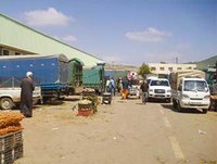 Mascara :  L'inquiétude  des mandataires  en fruits et légumes