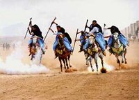 Gosto : Plus de 125 cavaliers au concours du Dahra