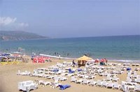 Les  Andalouses :  Le complexe touristique prêt pour la saison estivale