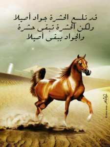 لا امل لاصحاب عقود الوكالة الوكطنية للتشغيل