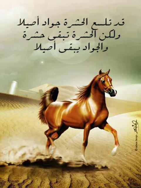 لا امل لاصحاب عقود الوكالة الوكطنية للتشغيل