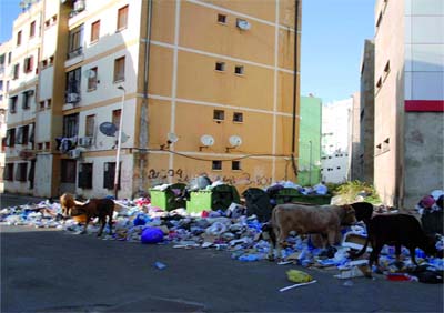 Importante évolution des techniques de gestion des déchets à Alger