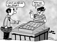 La Pêche dans les ports de l'ouest du pays :  Le repos biologique n'est pas respecté