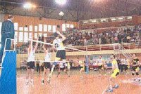 Finale de coupe d'Algérie de Volley-ball :  Les Pétroliers plus percutants