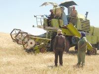 AIN TEMOUCHENTLégumineuses : prémices d'une bonne récolte