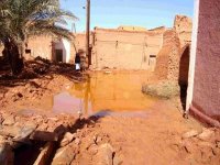Intempéries à Adrar : les sinistrés pris en charge, le bilan des dégâts en hausse