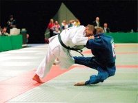 Judo : l'Algérie sollicitée pour oraginser le championnat d'Afrique 2013 (FAH)