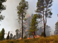 Campagne anti-incendie 2013 : meilleurs résultats enregistrés depuis 13 ans (DGF)