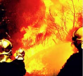 الحماية المدنية لبومرداس تسجل 50 تدخلا لإخماد حرائق خلال أسبوعأتلفت حوالي 16 هكتارا من الغابات و100 شجرة مثمرة