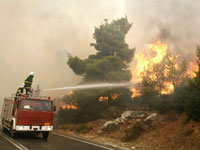 النيران تتلف 50 هكتارا من الغابات خلال شهرين بتبسة