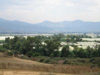 Le Premier ministre visite l'exploitation agricole Bouchemal-Belkacem à Jijel