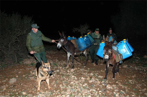 فرق للشرطة أمام محطات الوقود لكبح التهريب بتبسة