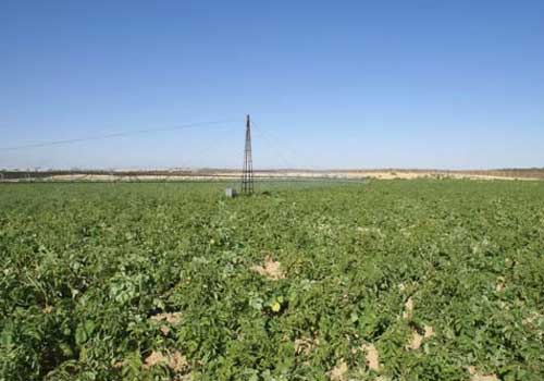Algérie - 82.000 actes de concession de terres agricoles du domaine privé de l'Etat ont déjà été établis