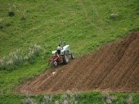 Terres agricoles du domaine privé de l'Etat : plus de 82.000 actes de concession établis au 18 août (ONTA)