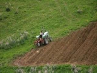 Terres agricoles du domaine privé de l'Etat : plus de 82.000 actes de concession établis au 18 août