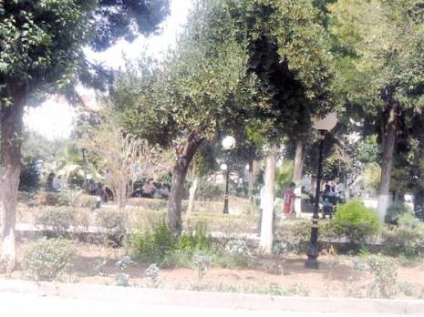Les espaces verts rétrécis Environnement à Oum El Bouaghi