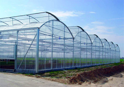 L'armoirie d'Igilgili ne comportera dans l'avenir que du béton