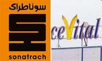 Entreprises africaines émergentes :  Sonatrach et Cevital se démarquent