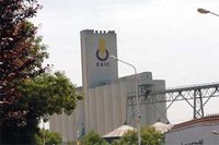 Semences céréalières non contrôlées :  Les germes de  la contre-performance