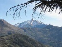 Parc national du Djurdjura : Nécessité de la maîtrise des connaissances sur la biodiversité