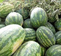 Commerce saisonnier : Les baraques de fruits soumises à autorisation