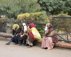 بارونات.. عصابات.. وما خفي اعظم.. امبراطورية  الدلالات  بشارع العربي بن مهيدي