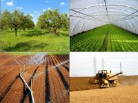 Développement de l'agriculture à M'sila, priorité majeure du gouvernement