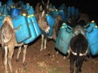 تلمسان/ إحباط ثلاث عمليات تهريب 3.120 لتر من الوقود نحو المغرب