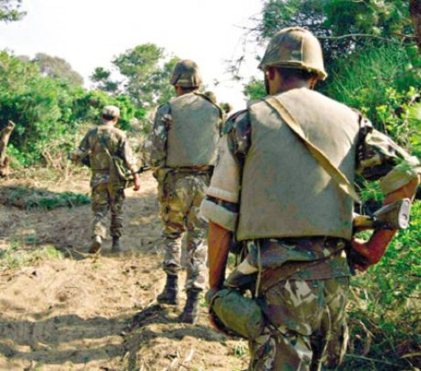 الجيش يمشط غابة الشريعة في البويرة