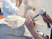 Ouverture fin septembre de l'école pilote de gemmologie de Tamanrasset (responsable)