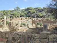 Malgré ses nombreux atouts, elle se dégrade et se fane Tipaza : des trésors à déterrer, une mémoire à sauver