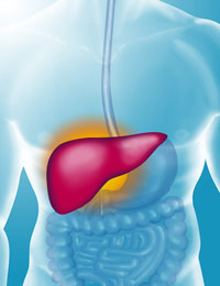 تسجيل 70 حالة لداء التهاب الكبد الفيروسي بولاية الوادي